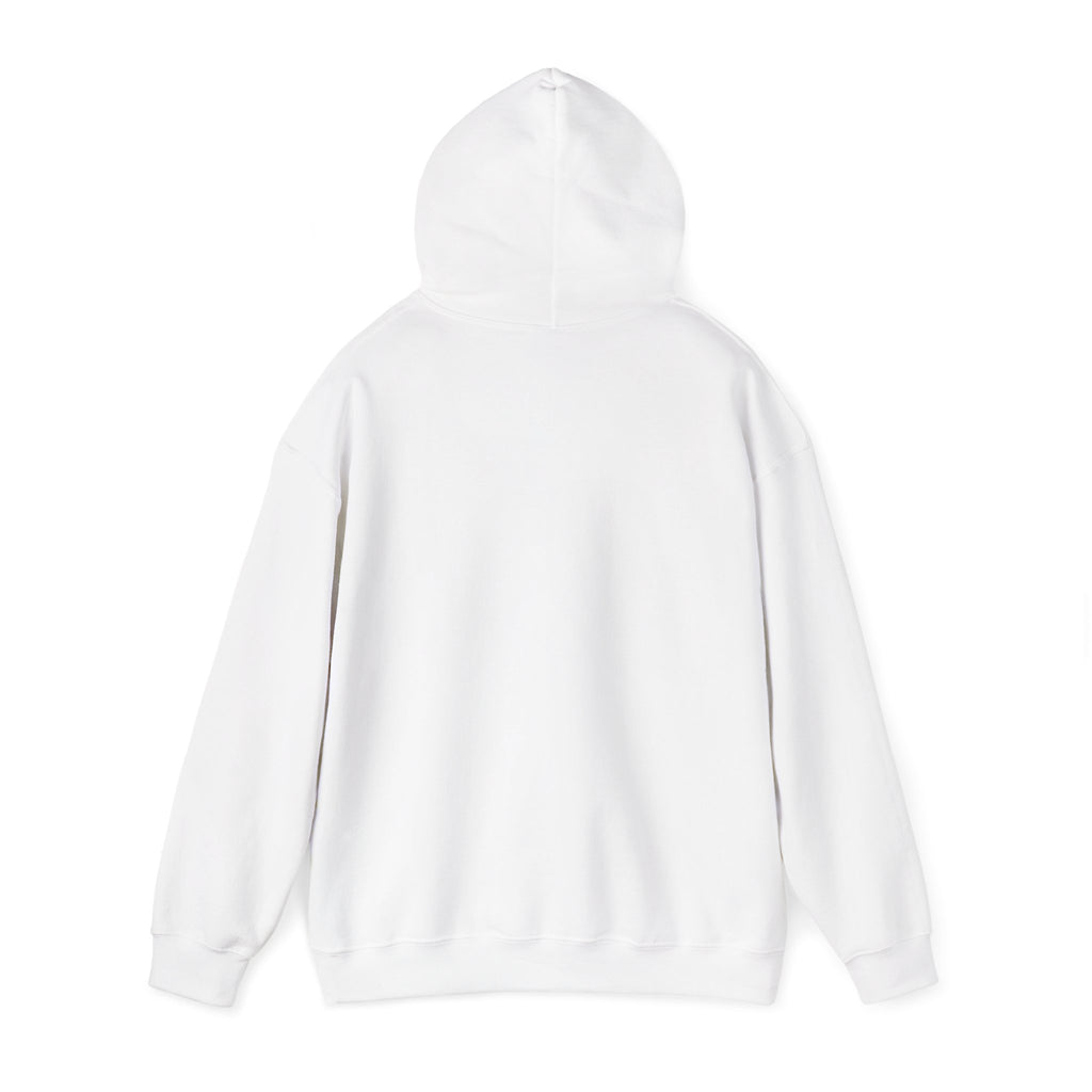 In Flight Hazards Hoodie - Funny Aviation Safety Graphic Hooded Sweatshirt