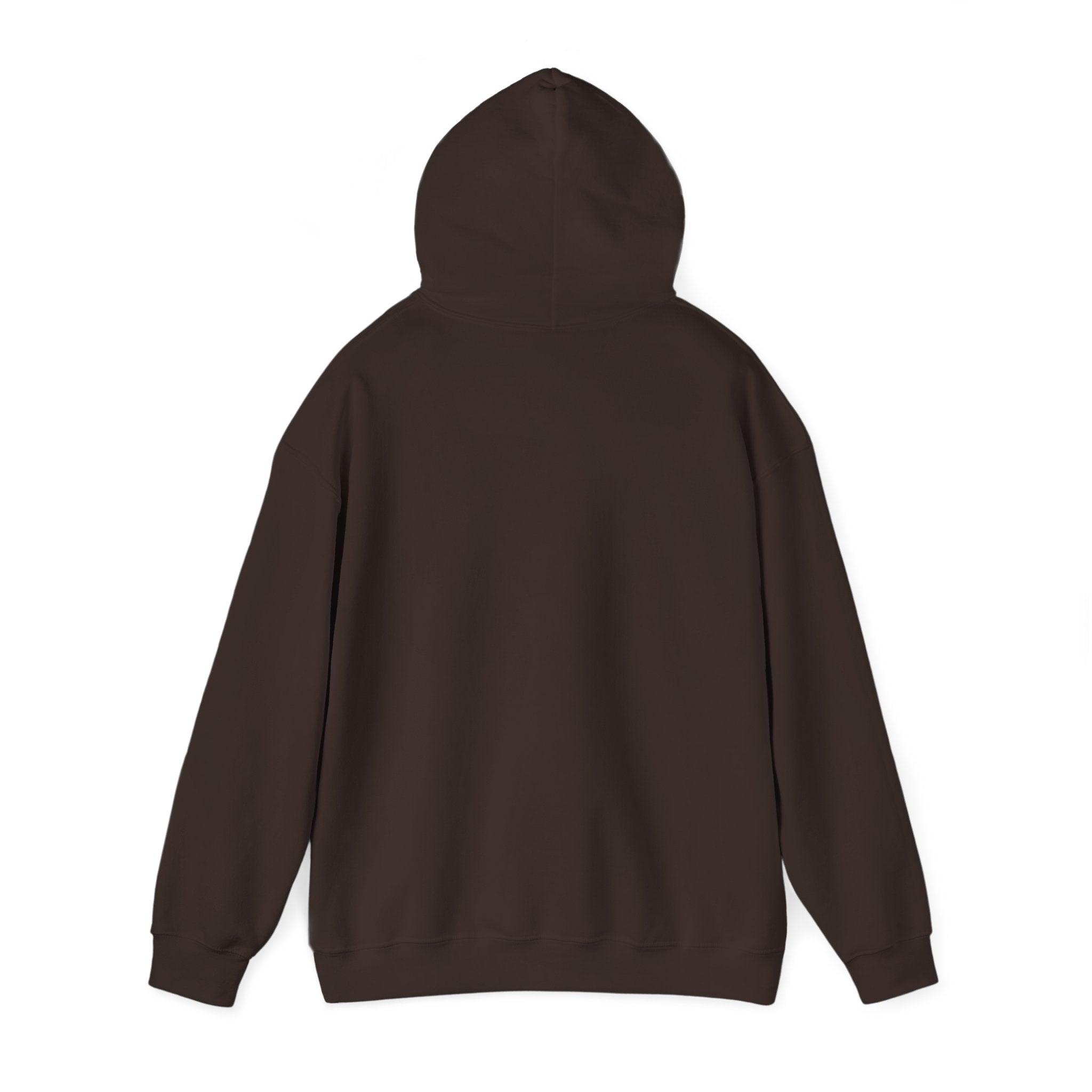 Bear Hug Hoodie — Retro 'Come For A Hug' Cozy Graphic Sweatshirt