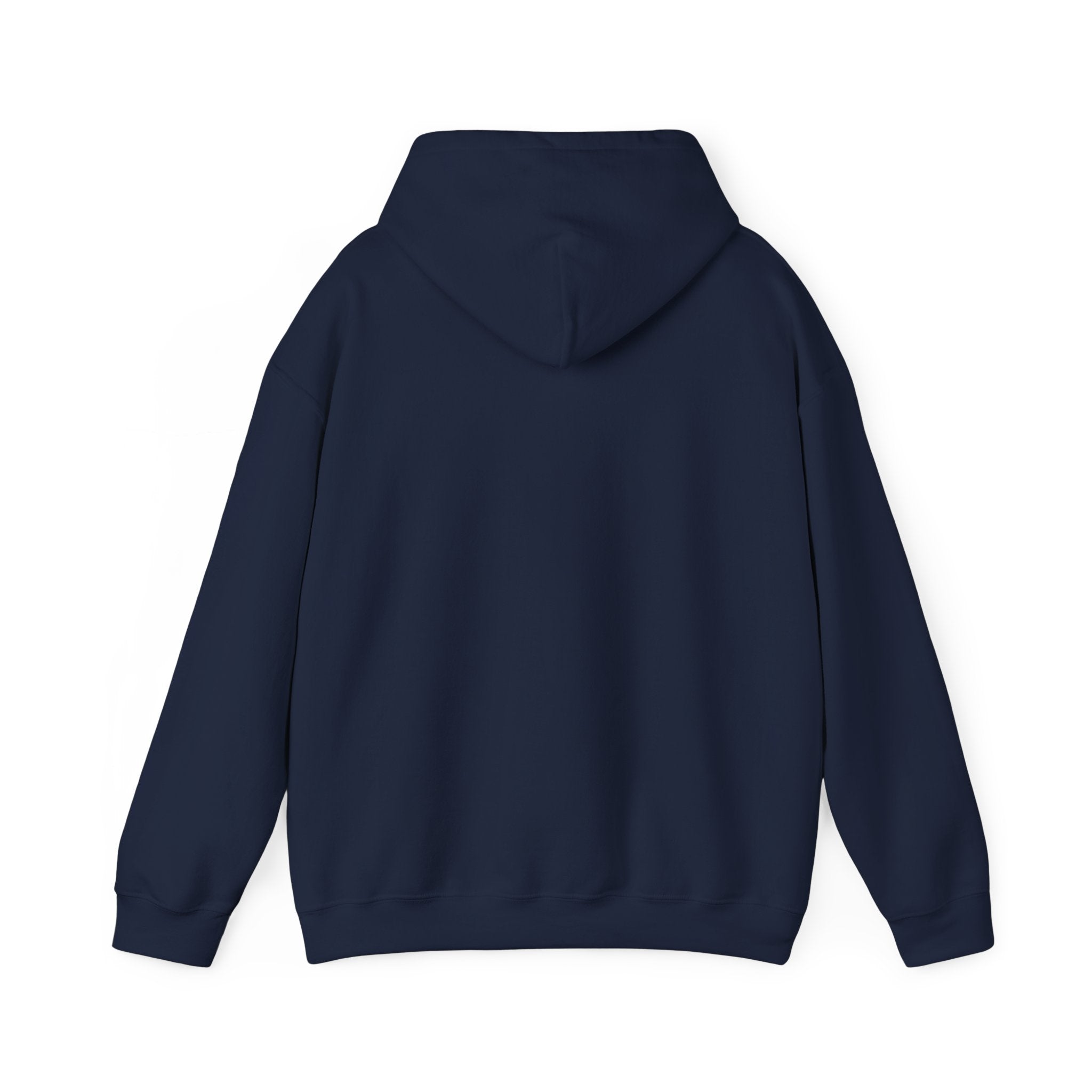 In Flight Hazards Hoodie - Funny Aviation Safety Graphic Hooded Sweatshirt