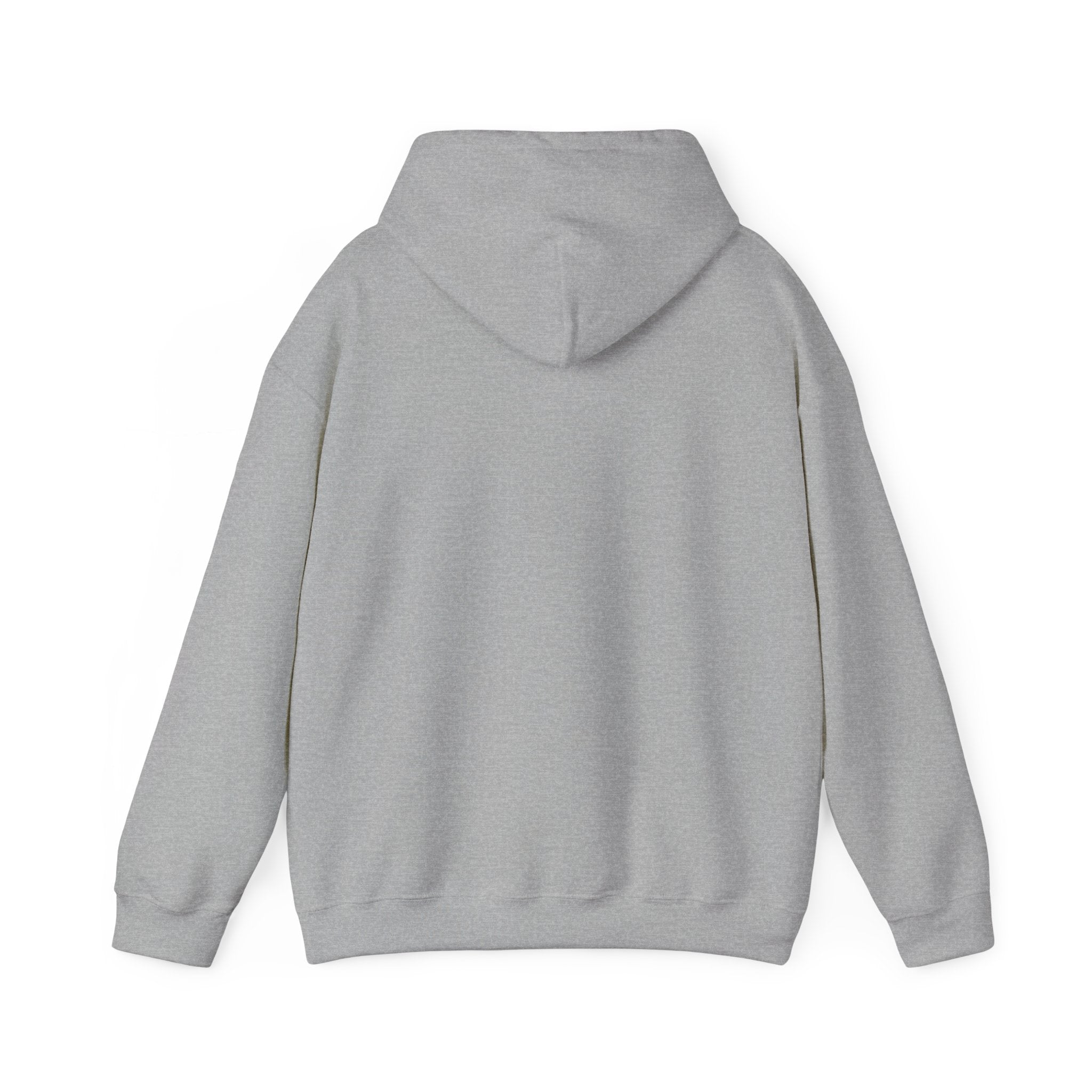 Bear Hug Hoodie — Cute Retro ‘Give Me A Hug’ Graphic Hoodie