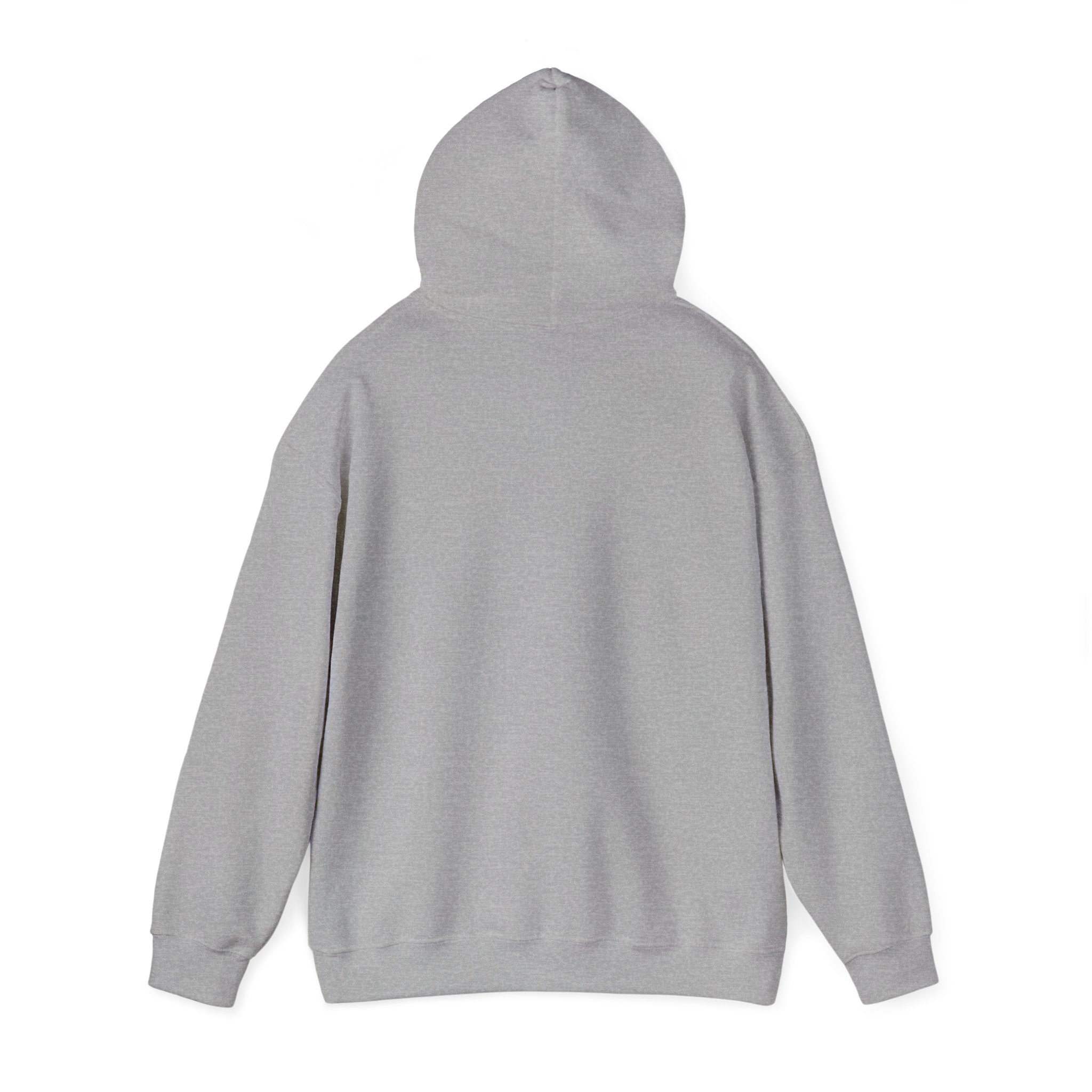 Bear Hug Hoodie — Cute Retro ‘Give Me A Hug’ Graphic Hoodie